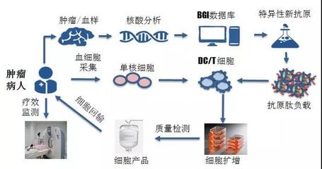 煜森資本 華大吉諾因攜「腫瘤新生抗原」誘導技術亮相AACR，開啟精準免疫治療新高度